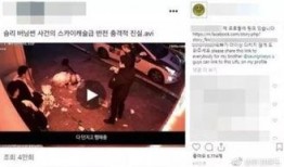 兰州某高校视频爆料事件,真相与争议交织的校园风云