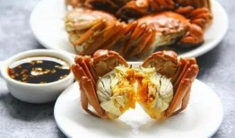 螃蟹热点爆料怎么做视频,揭秘视频制作背后的秘密